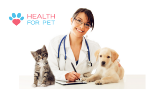 Health For Pet o Plano de Saúde para seu Pet