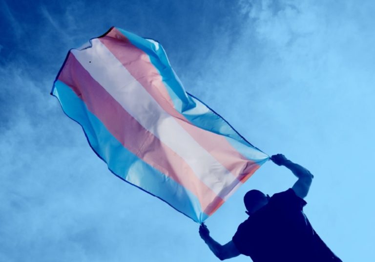 Processo Transsexualizador